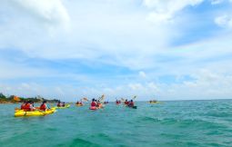 「【東村】慶佐次川マングローブ観察とカヌー体験(半日コース)慶佐次川(支援対象No.135)」のサムネイル画像