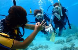 「【本部町ほか】海の体験学習 体験ダイビング&バナナボート」のサムネイル画像
