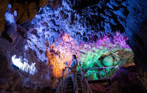 「CAVE OKINAWA」のサムネイル画像