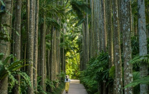 「株式会社 東南植物楽園」のサムネイル画像