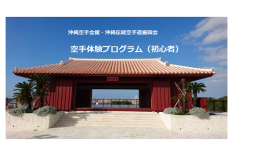「【豊見城市】空手体験プログラム(初心者)」のサムネイル画像
