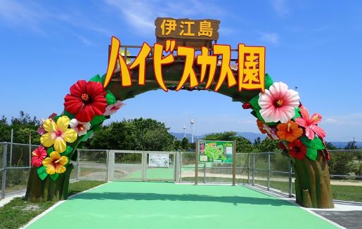 「伊江島ハイビスカス園」のサムネイル画像