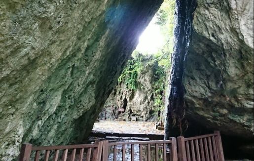 「世界文化遺産 斎場御嶽」のサムネイル画像