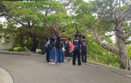 「~ゆいレール(沖縄都市モノレール)浦添前田駅発着~ 激戦地前田高地(ハクソーリッジ)を巡る(支援対象No.042)」のサムネイル画像