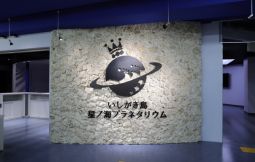 「【石垣島】北緯24度のプラネタリウム(支援対象No.096)」のサムネイル画像