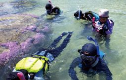 「【西表島】サンゴ礁の不思議 ~生命の楽園を作る生き物たち~(支援対象No.099)」のサムネイル画像