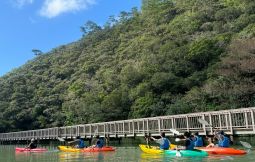 「大浦湾シーカヤック体験+マングローブ水上遊歩道散策(半日コース) 支援対象No.107」のサムネイル画像