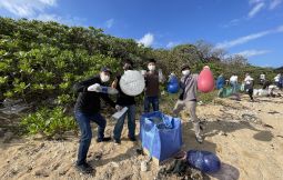 「【八重山】ビーチクリーン体験」のサムネイル画像