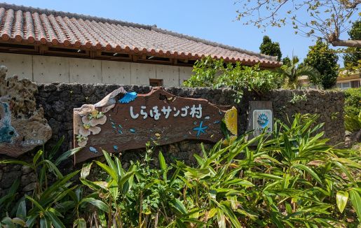 「特定非営利活動法人 夏花(なつぱな)」のサムネイル画像