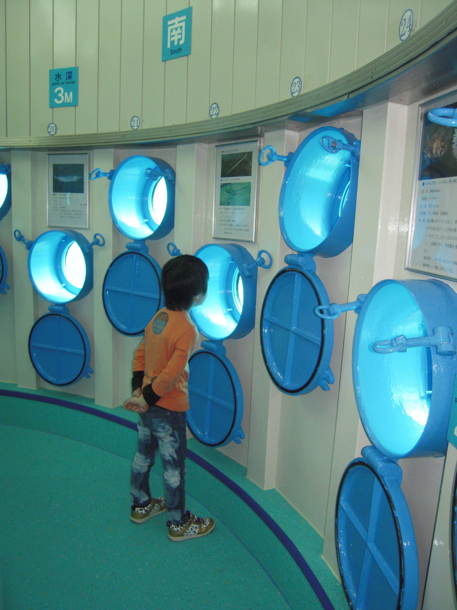 「【名護市】海中展望塔とグラス底ボートで海中散策」のサムネイル画像