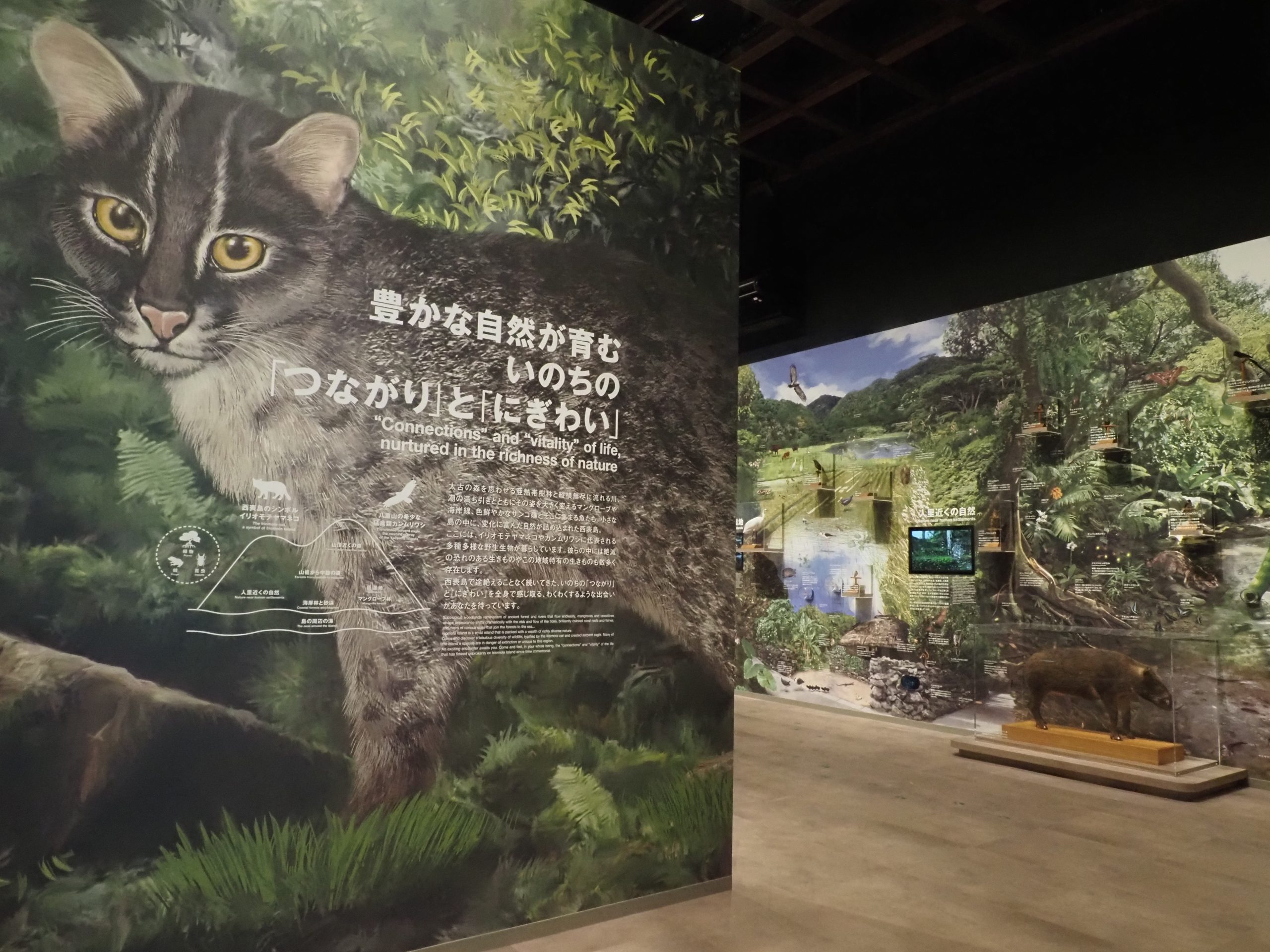 「環境省　西表野生生物保護センター」のサムネイル画像