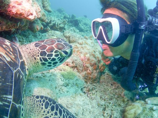 「【石垣島】日本最大のサンゴ礁国立公園「石西礁湖」で行う！●1日ダイビング体験＆ウミガメシュノーケリング　●1日サンゴシュノーケリング＆ウミガメシュノーケリング」のサムネイル画像