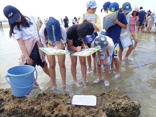 「沖縄の海で学ぶ磯観察トレッキング（海洋教育）＋ビーチクラフト」のサムネイル画像