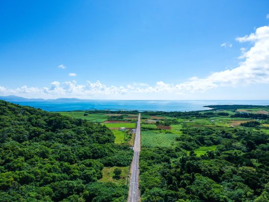 「【小浜島】島内散策サイクリング体験」のサムネイル画像