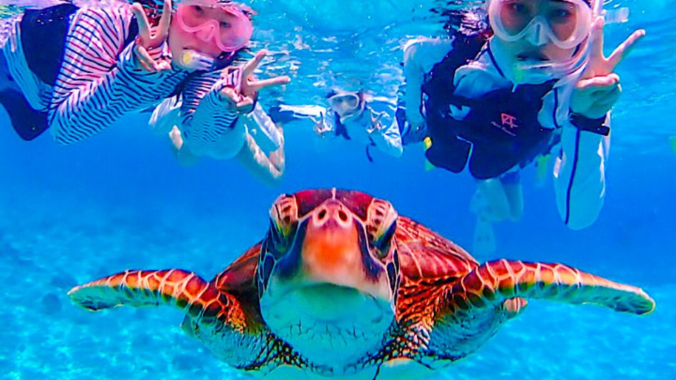 「【宮古島】SDGsウミガメラーニング体験学習」のサムネイル画像