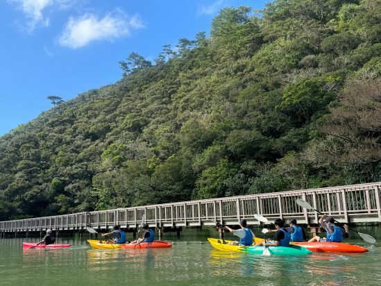 「【名護市】大浦湾シーカヤック体験＋マングローブ水上遊歩道散策（半日コース）」のサムネイル画像