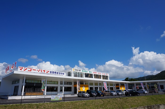 羽地の駅