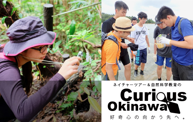 「一般社団法人キュリオス沖縄」のサムネイル画像