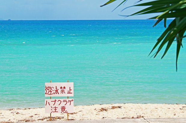 安全安心な旅行のために（沖縄旅行の注意点）のアイキャッチ画像